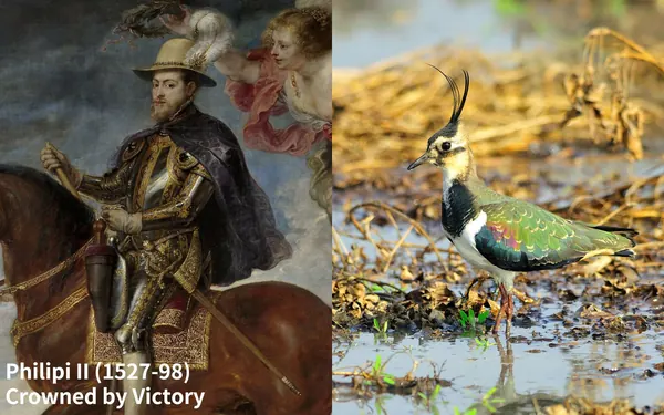 Philip-II-and-lapwing