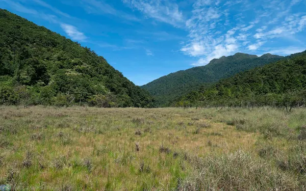 yuan-yang-lake