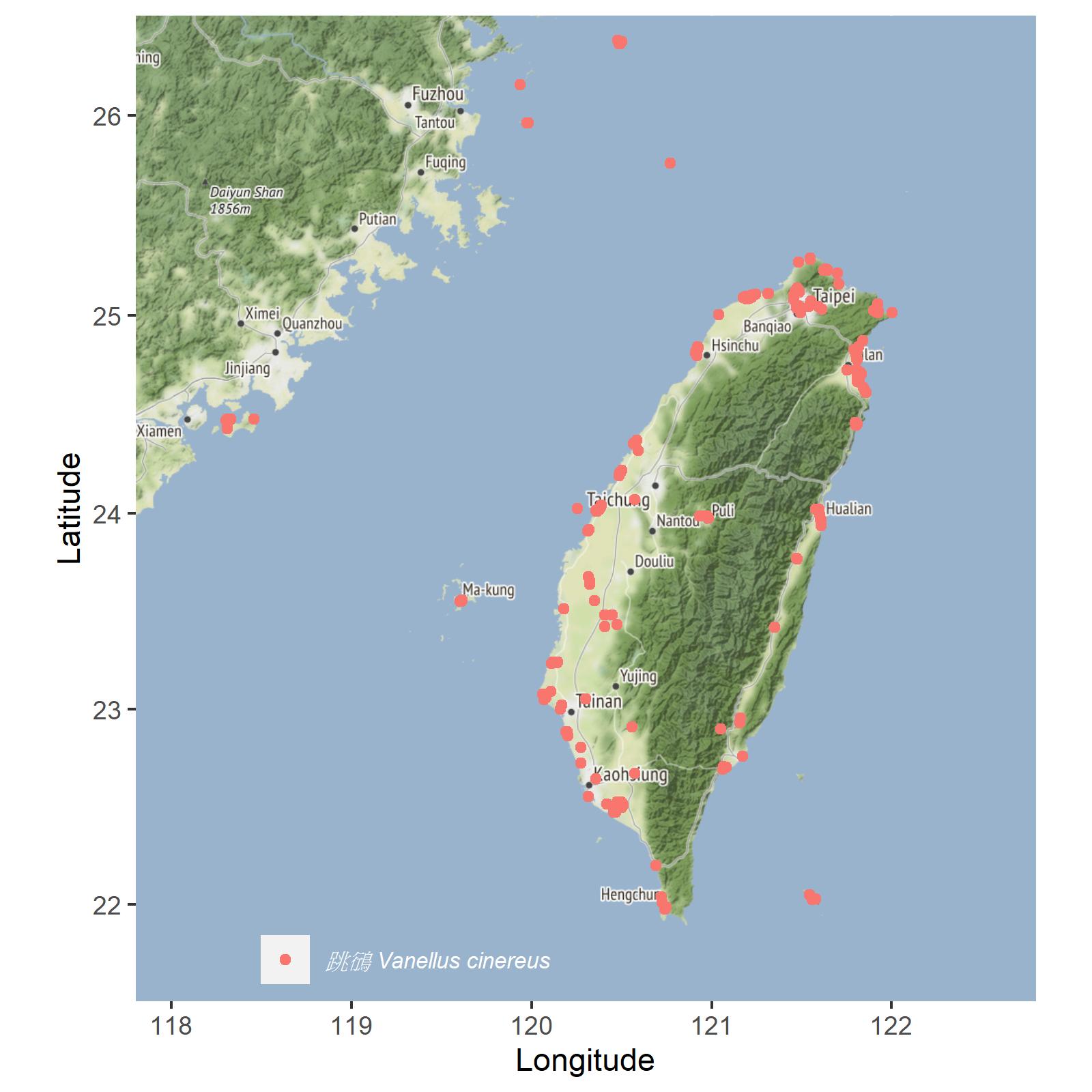 灰斑鴴 台灣分布地圖
