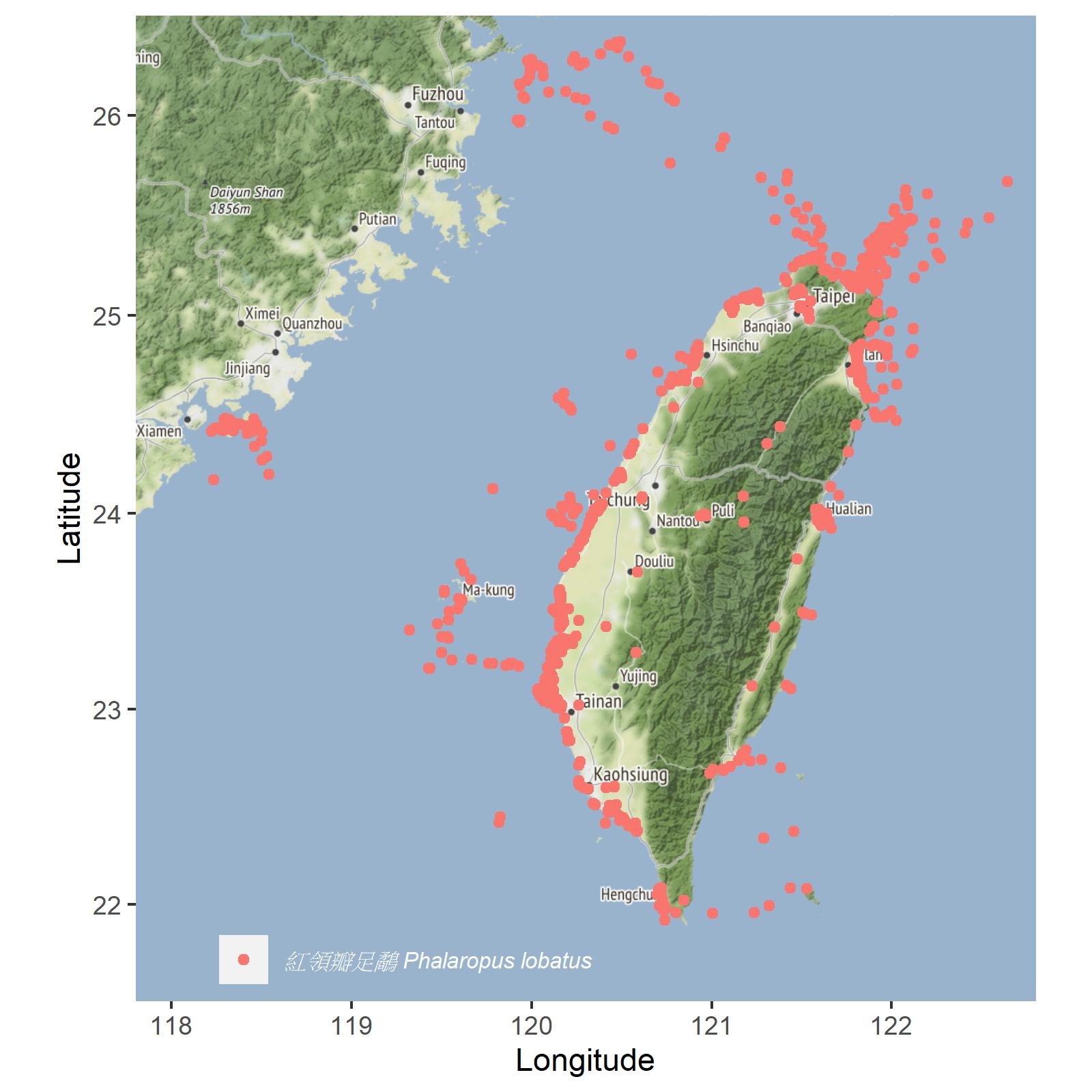 Phalaropus lobatus Distribution Map in Taiwan