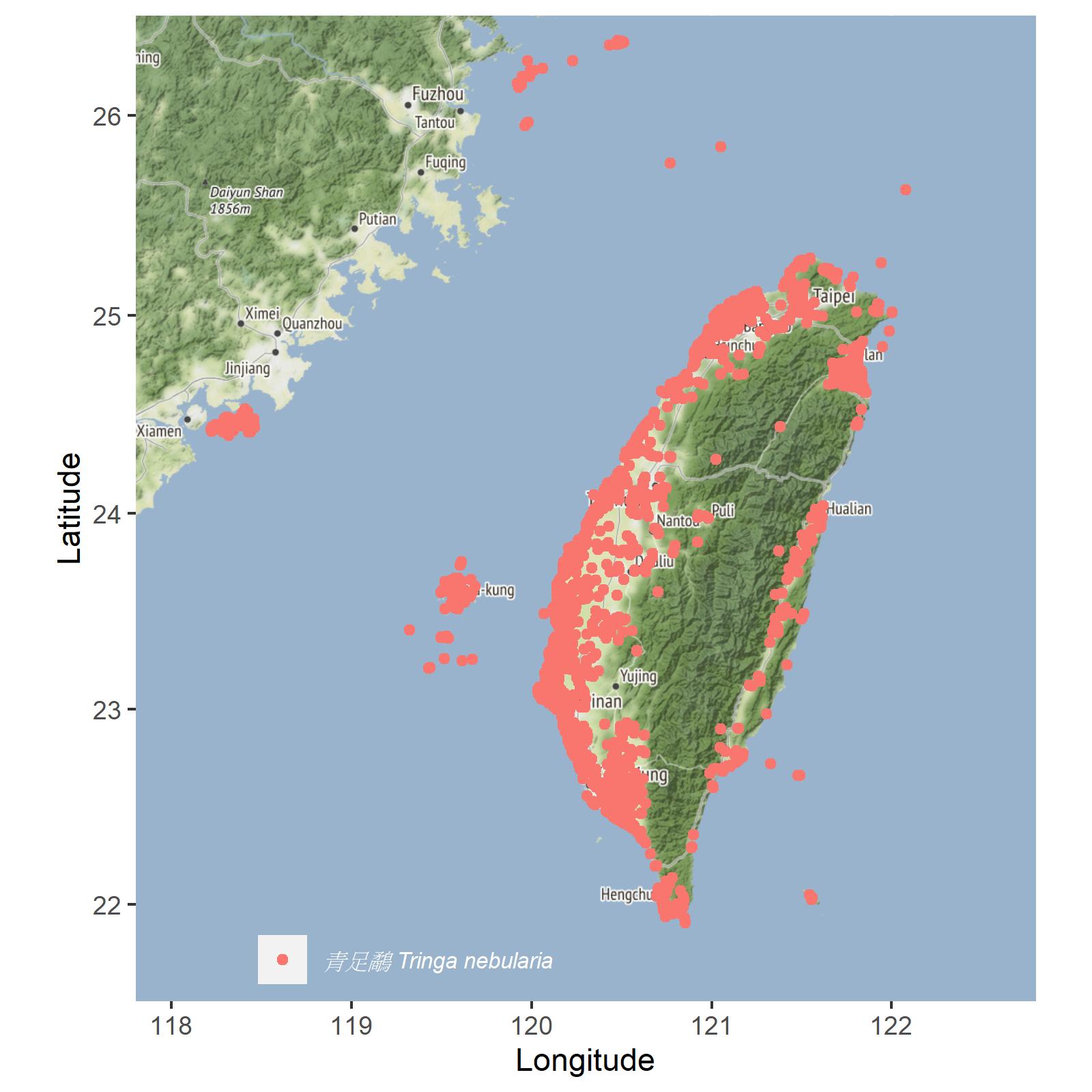 青足鷸台灣分布地圖