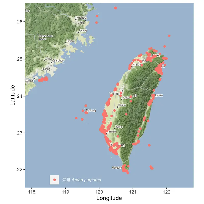 紫鷺 Purple Heron 在台灣分布地圖