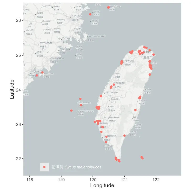 花澤鵟 台灣分布地圖 Pied Harrier Distribution in Taiwan 花澤鵟 台灣分布地圖 Pied Harrier Distribution in Taiwan